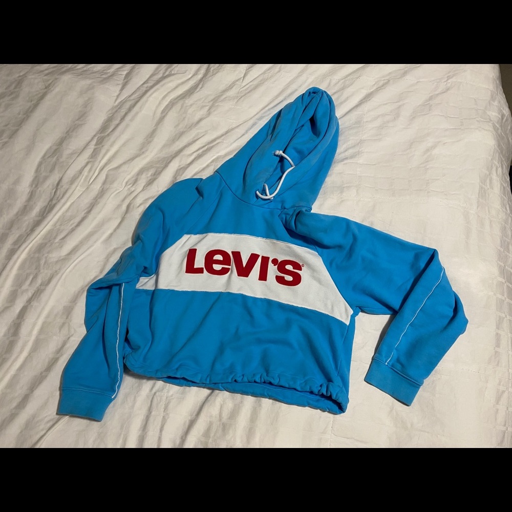 Levi crop hoodie